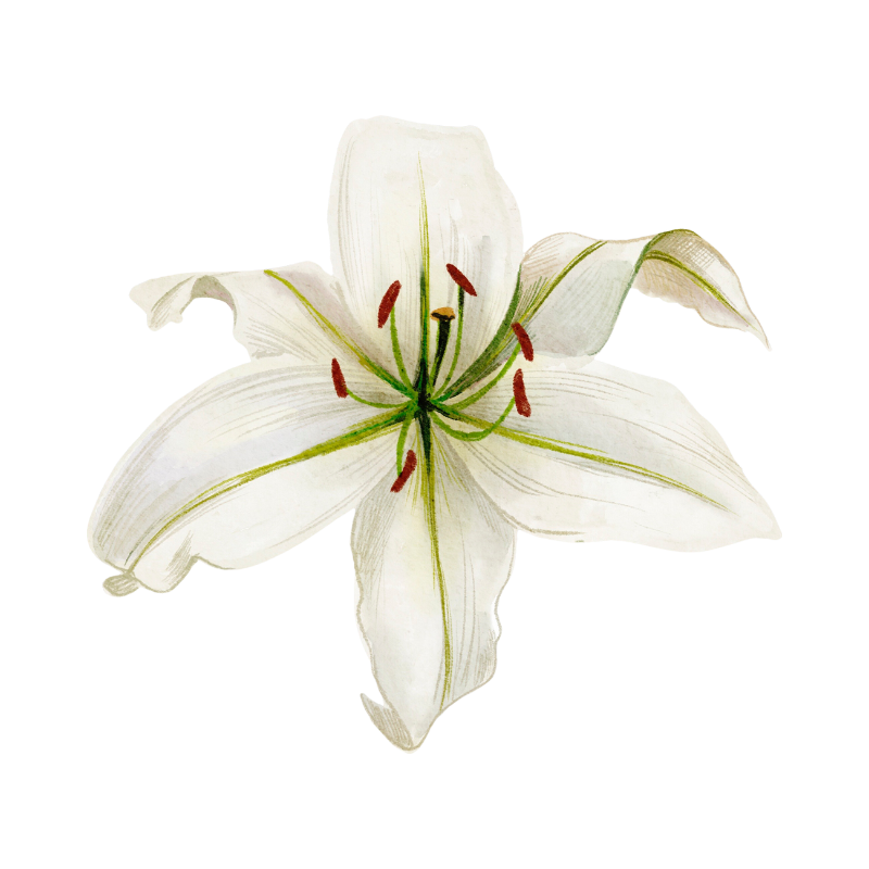 Untitled design (63)