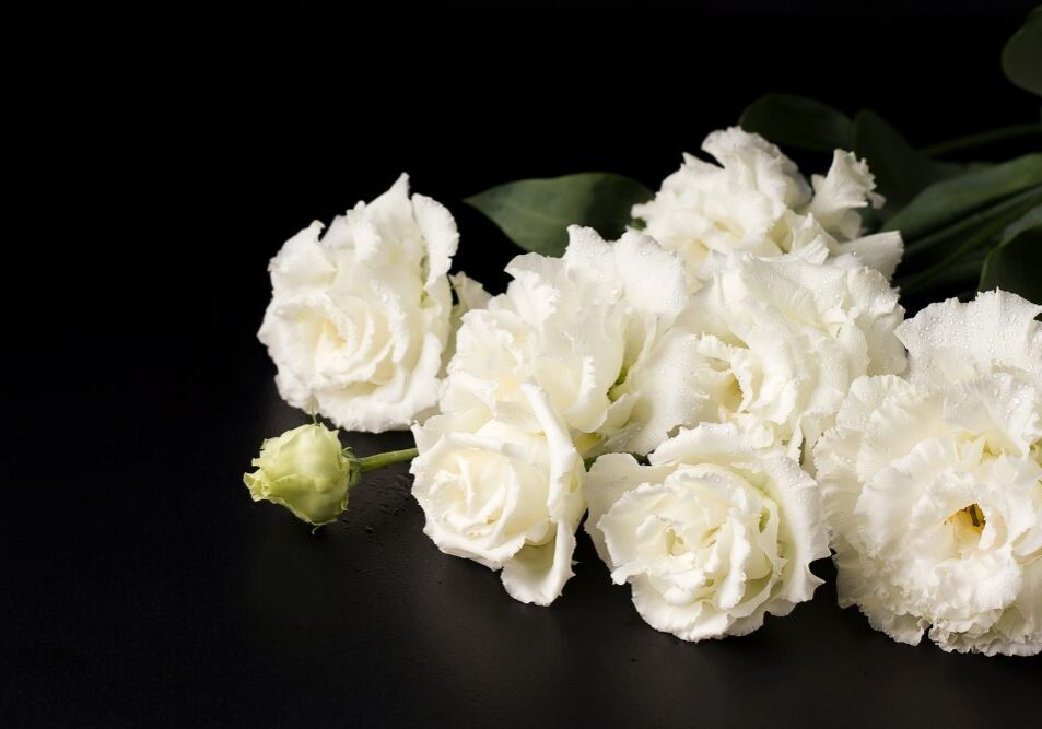 Untitled design - 2024-05-13T103141.913